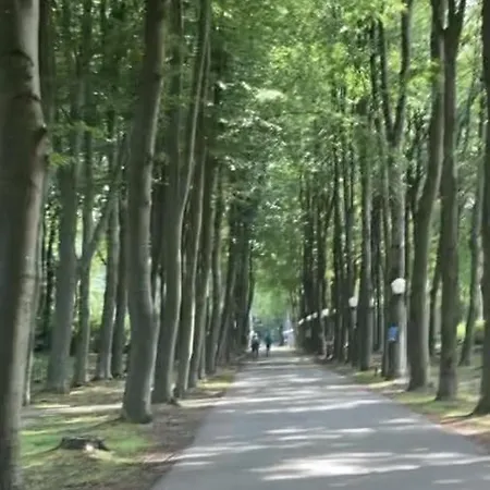 Hengelhoef *